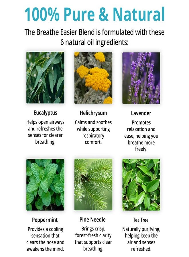 mEssentials Wild Essentials Breathe Easier 100% Pure Essential Oil Synergy Blend 2 Pack - 10ml, Cool and clearing for Congestion, Sinus, Allergies, stuffy Nose, Cold and flu Symptoms, Made and Bottled in USA - Image 2